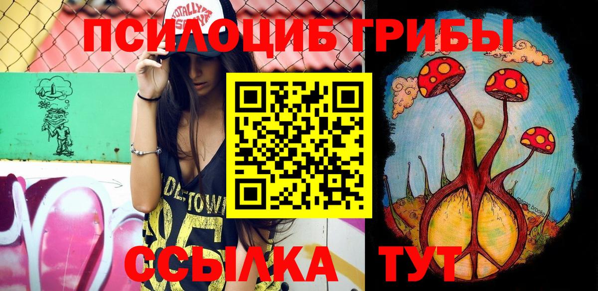 Усть-Кут  Галлюциногенные грибы мицелий  Псилоцибиновые грибы MAGIC MUSHROOMS  Вход с VPN 